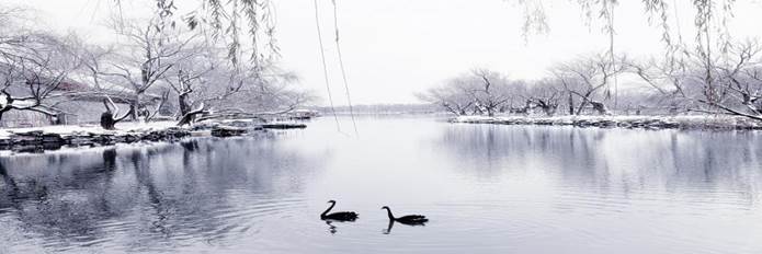 clip_image002.jpg