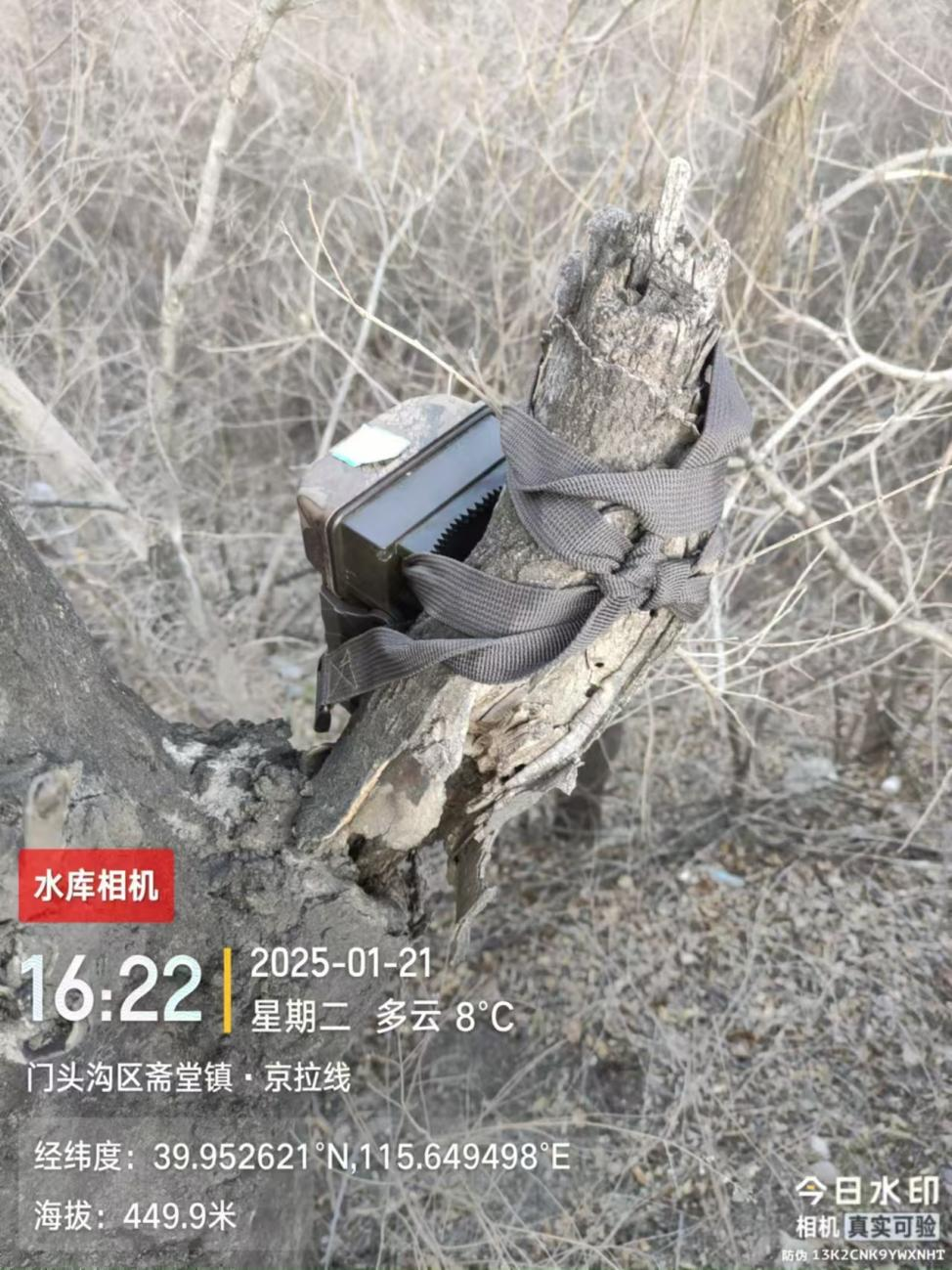 图片16.png