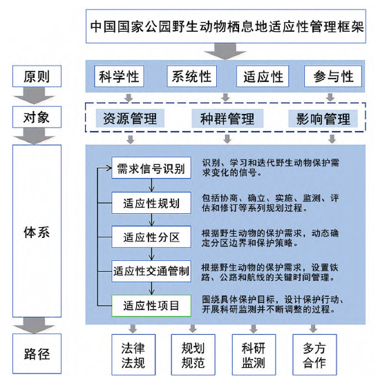 图片19.png